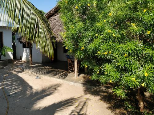Zanzibar Tanzania Hotel City Discount Code Agoda.com
